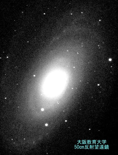 ngc3031