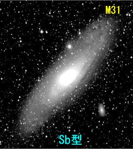 M31