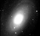 NGC3031(M81)