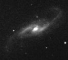 NGC4536